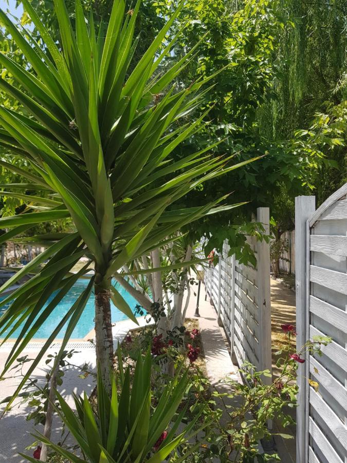 Villa Adonis With Private Pool By Lefkadastay Εξωτερικό φωτογραφία