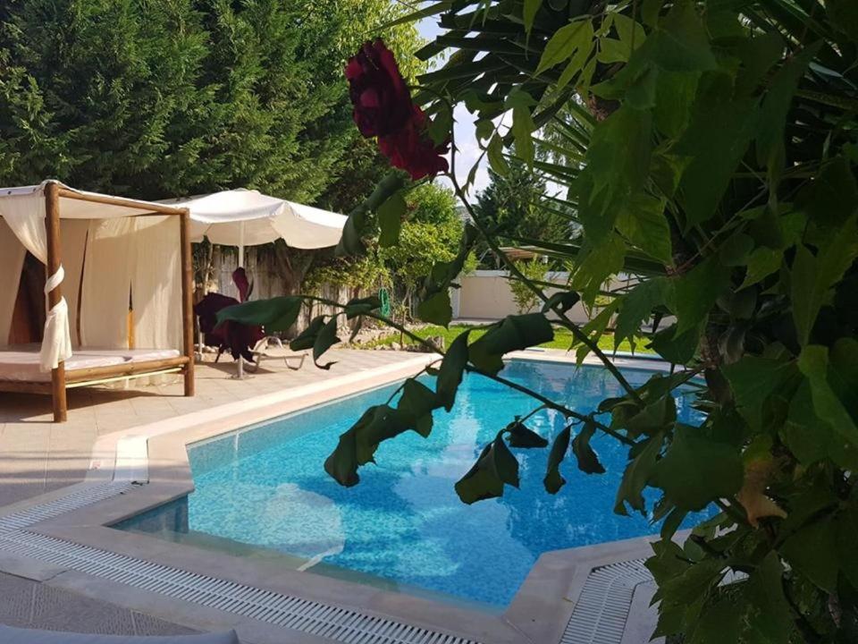 Villa Adonis With Private Pool By Lefkadastay Εξωτερικό φωτογραφία