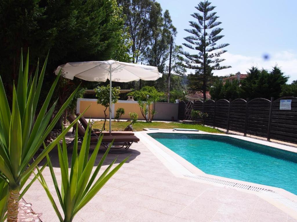 Villa Adonis With Private Pool By Lefkadastay Εξωτερικό φωτογραφία